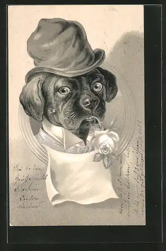 Präge-Lithographie Porträt vermenschlichter Hund mit Hut und einer Rose im Maul