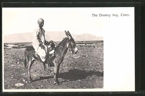 AK Cairo, The Donkey boy, Mann auf Esel