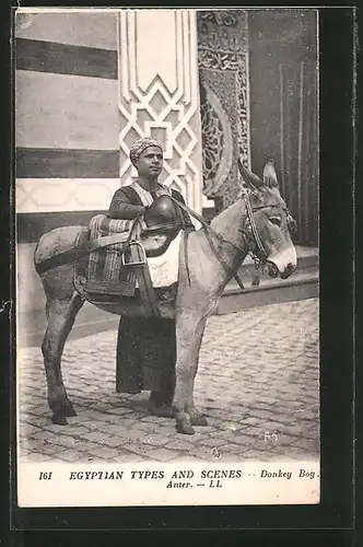 AK Egyptian Scenes and Types, Donkey Boy, Eselführer