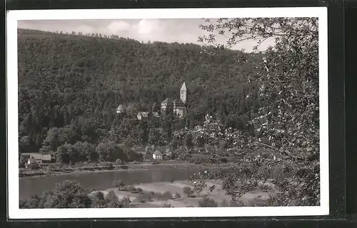 AK Zwingenberg, Blick auf das Schloss über dem Neckar
