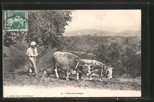 AK Laboureur Kabyle, Bauer mit Rinderpflug