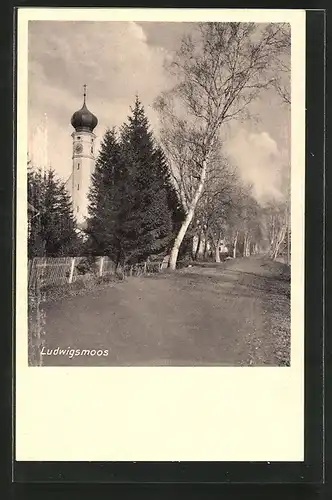 AK Ludwigsmoos, Strasse mit Blick zur Kirche