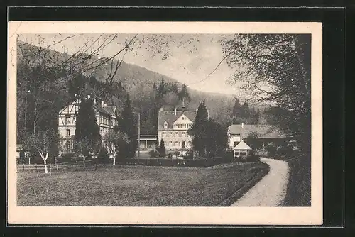 AK Kenzingen, Badische Anilin- & Soda-Fabrik, Beamtenheim Kirnhalden