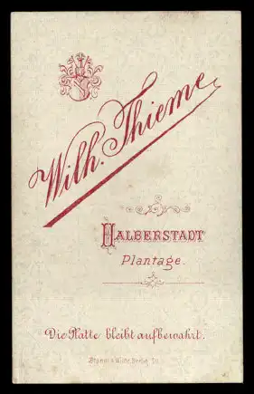 Fotografie Wilh. Thieme Halberstadt, Portrait hübsche Frau im eleganten Kleid mit Halskette & Fächer