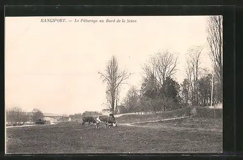 AK Rangiport, Le pâturage au bord de la Seine, Kühe