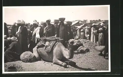 Foto-AK Luxor, Araber mit einem Kamel, arabische Volkstypen