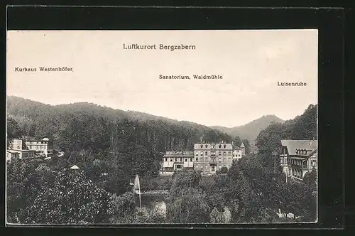 AK Bergzabern, Kurhaus Westenhöfer, Sanatorium Waldmühle, Luisenruhe