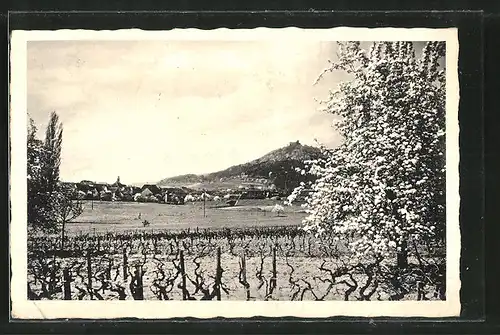 AK Hambach, Ortsansicht mit Schloss Hamabach im Hintergrund