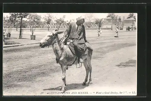AK Ägypten, Araber reitet auf einem Esel, arabische Volkstypen