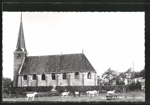 AK Nijholtpa, Ned. Herv. Kerk, Schafe vor der Kirche
