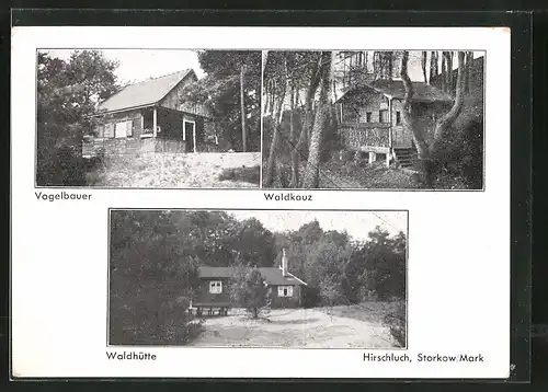 AK Storkow, Jugendheim, Hirschluch, Waldhütte, Häuser Vogelbauer u. Waldkauz