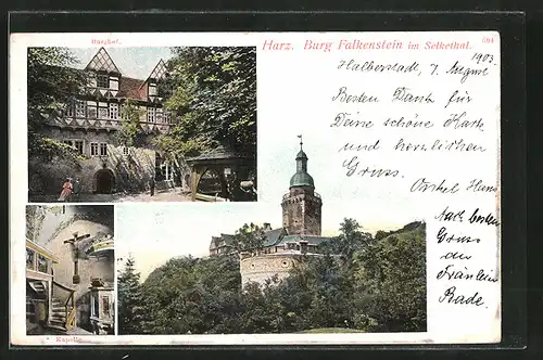 AK Pansfelde, Burg Falkenstein im Selkethal, Burghof