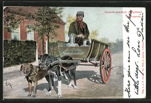AK Niederlande, Nordbrabantsch dorpsleven, Markwagentje, Milchmann mit seinem Hundegespann