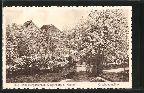 AK Neuhof, Berggasthaus Klingenberg, Kirschbaumblüte