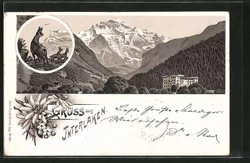 Lithographie Interlaken, Hotel vor Bergpanorama, Gemsen im Gebirge