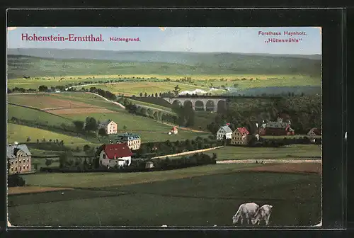 AK Hohenstein-Ernstthal, Ortsansicht, Forsthaus Haynholz "Hüttenmühle