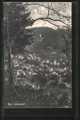 AK Bad Liebenzell, Ortspanorama vom Berg aus gesehen