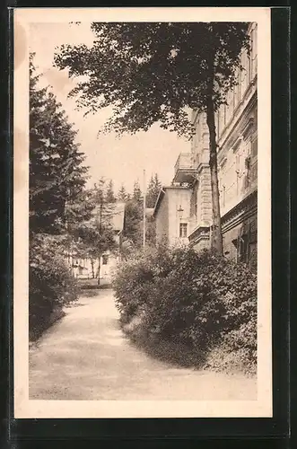 AK Bad Reiboldsgrün, Parkweg am Kurhaus