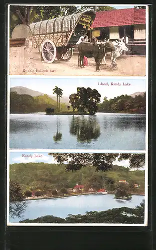 AK Kandy, Double Bullock cart, Island & Kandy Lake