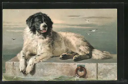Künstler-AK Portrait eines Hundes