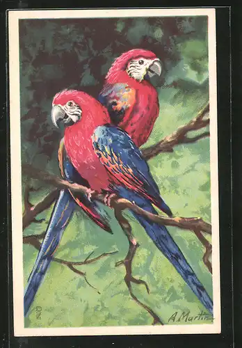 Künstler-AK Papageien-Paar auf einem Ast