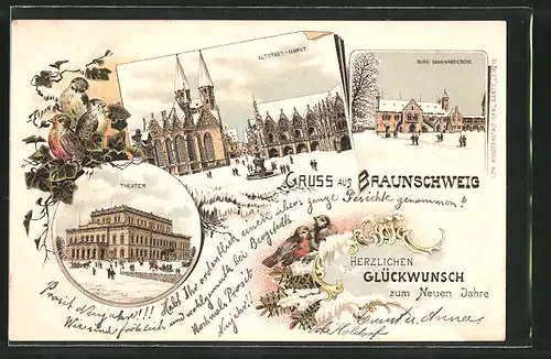 Winter-Lithographie Braunschweig, Theater, Altstadt-Markt, Burg Dankwarderode