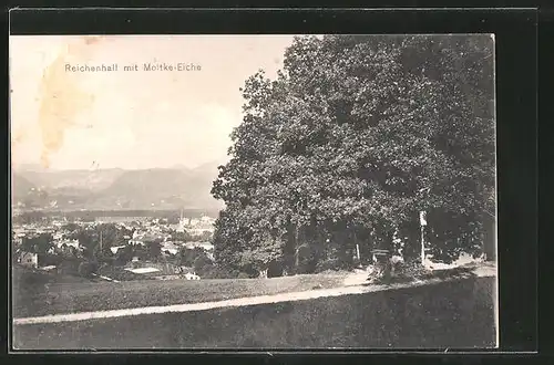 AK Bad Reichenhall, Ortsansicht von der Moltke Eiche
