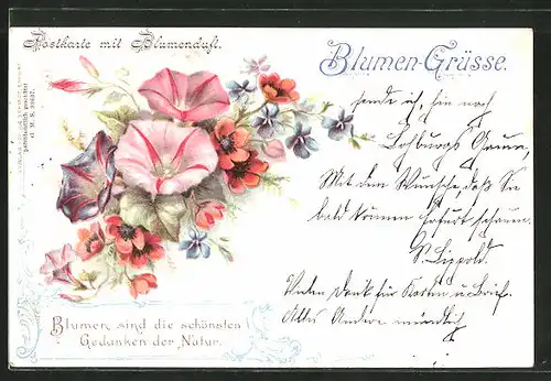 Duft-AK Postkarte mit Blumenduft, Veilchen und Mohn