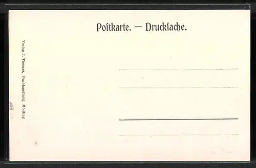 AK Anningerhaus, Wilhelmswarte, Partie beim S, Buchbrunnen, Breite Föhre, Buchenwald