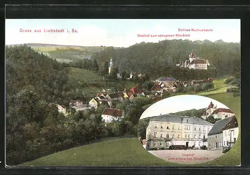 AK Liebstadt, Gasthof Zum schwarzen Kleeblatt, Ortsansicht mit Schloss Kuckuckstein