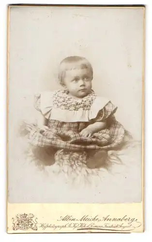 Fotografie Albin Meiche, Annaberg, Portrait Kleinkind in Kleidchen
