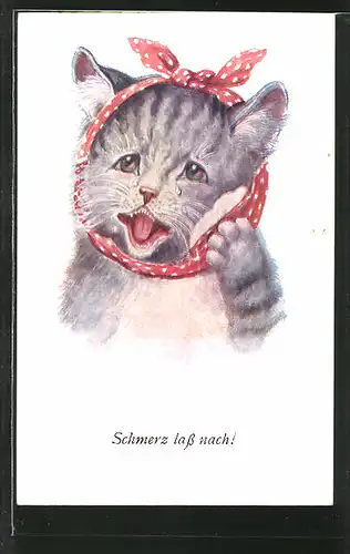 AK "Schmerz lass nach!", vermenschlichte Katze mit Zahnweh