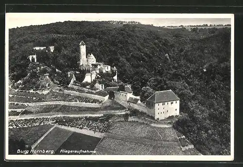 AK Neckarzimmern, Burg Homberg