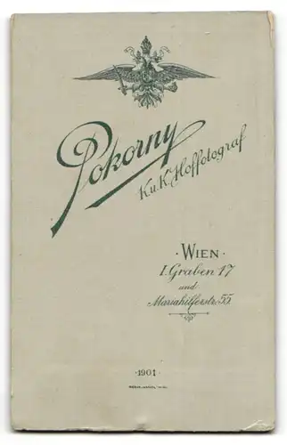 Fotografie Pokorny, Wien, Portrait junge Dame mit Wespentaille