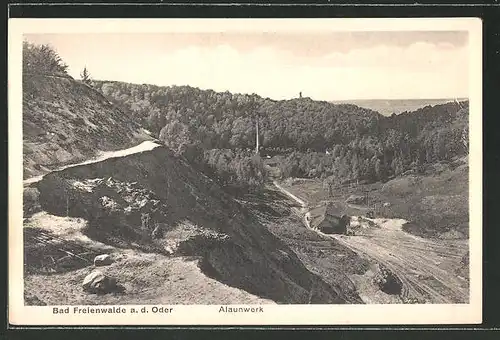 AK Bad Freienwalde, Blick auf den Steinbruch des Alaunwerkes