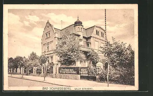 AK Bad Schmiedeberg, Villa Steinert, Restaurant Kronprinzen-Keller