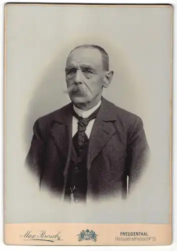 Fotografie Max Brosch, Freudenthal, Portrait Edelmann im Anzug mit Krawatte