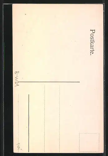 AK Berlin-Wedding, Nürnberger Hof (Elisabeth-Garten), Versöhnungs-Privat-Strasse, Vaterländischer Bauverein