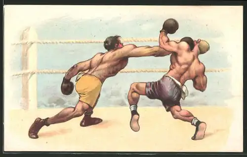 AK Boxer beim Kampf im Ring