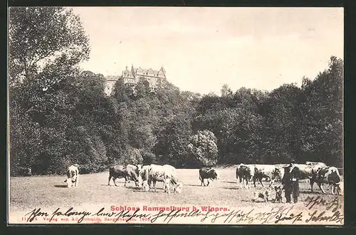 AK Mansfeld, Blick auf das Schloss Rammelburg