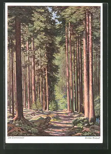 Künstler-AK Walter Einbeck: Im Tannewald, Landschaft