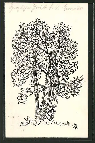 Künstler-AK Handgemalt: Federzeichnung eines Laubbaumes