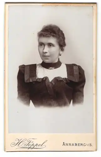 Fotografie H. Föppel, Annaberg i. S., Portrait Dame mit Schmuck Brosche & Ohrringen im vornehmen Kleid