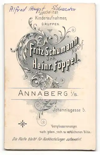 Fotografie H. Föppel, Annaberg i. S., Portrait Dame mit Schmuck Brosche & Ohrringen im vornehmen Kleid