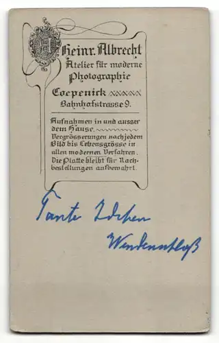 Fotografie Heinrich Albrecht, Berlin-Köpenick, Portrait Edeldame vornehm gekleidet