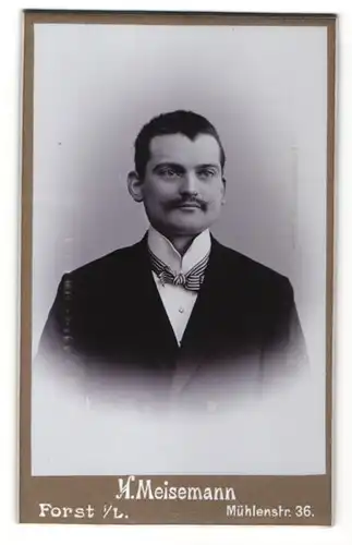 Fotografie H. Meisemann, Forst i. L., Portrait Edelmann mit Schnauzbart im Anzug