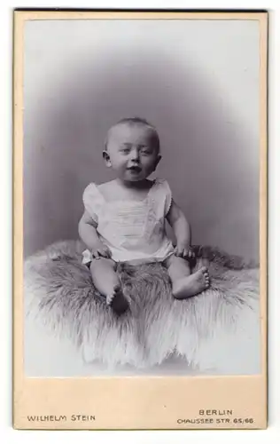 Fotografie Wilhelm Stein, Berlin, Baby auf Felldecke sitzend