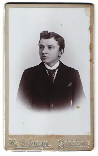 Fotografie H. Seeburger, Burgstädt i. S., eleganter junger Mann im Anzug