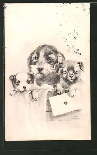 Künstler-AK Ulrich Weber: Kleine Hunde mit einem Brief