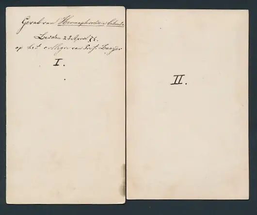 2 Fotografien 1874, Hermaphrodit, Portrait Person mit männlichen und weiblichen Geschlechtsmerkmalen 1